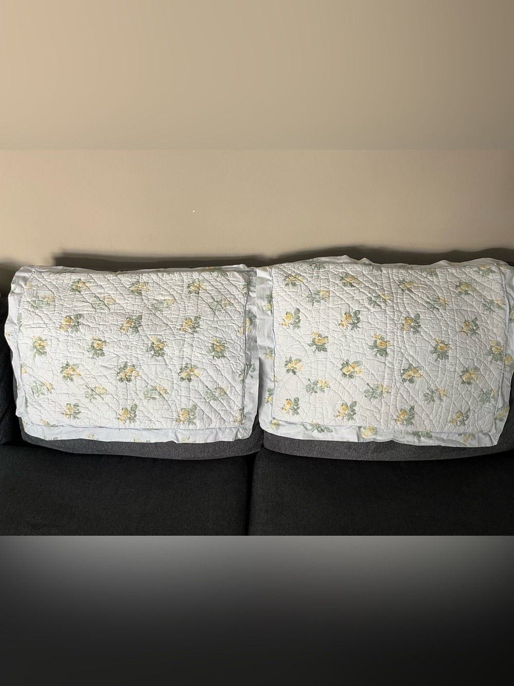 Simply Shabby Chic Pillow Shams